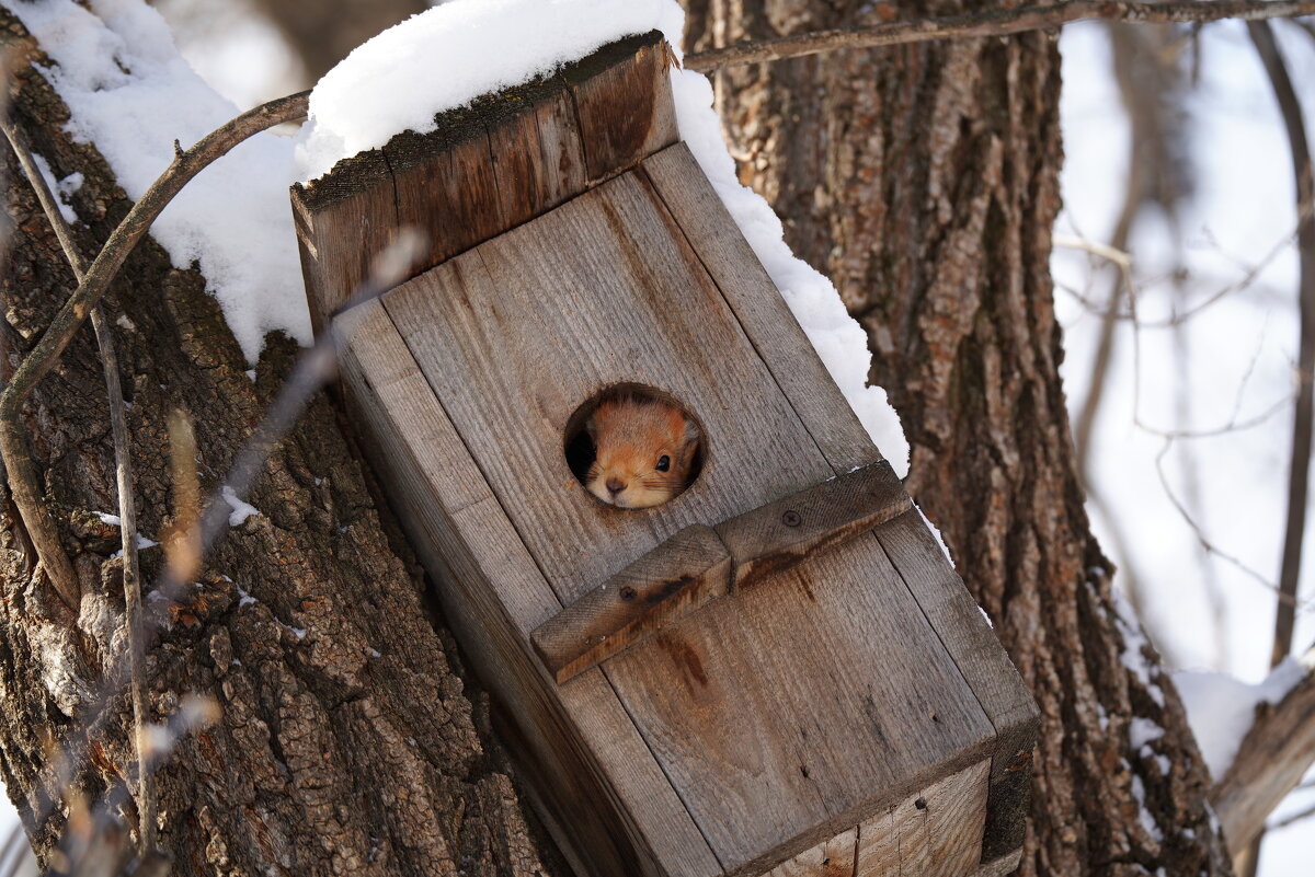 Скучно... - Вячеслав Алтай Скучно... - Вячеслав Алтай