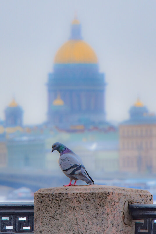 Мартовским днём - Алексей Чуркин