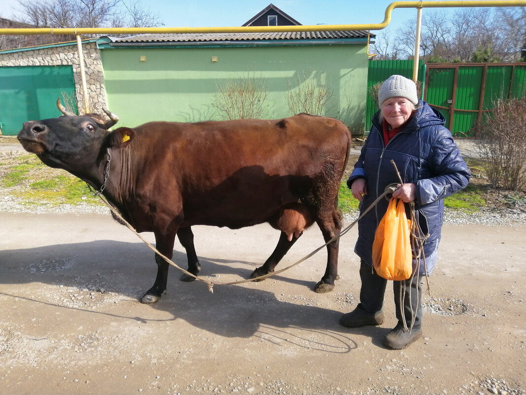 Бабуля с коровёнкой. - Геннадий Валеев