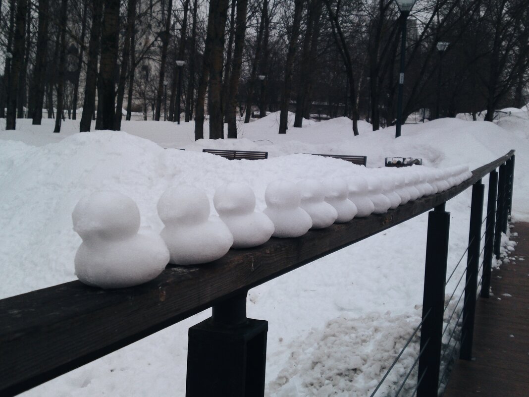 Милые утята в парке. - Наталья Вязигина