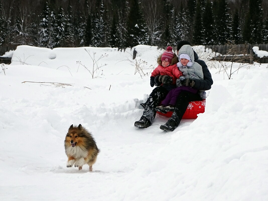 Весело - Павел Трунцев Весело - Павел Трунцев