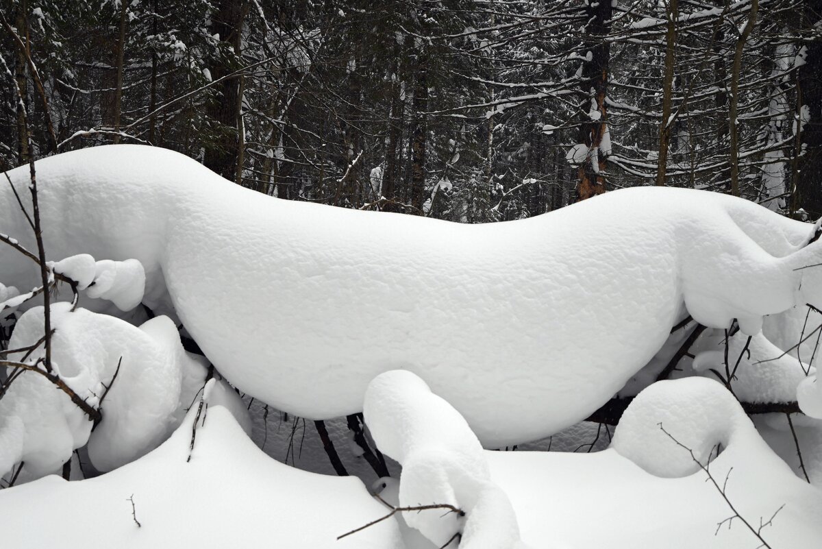 Преграда на тропе. - ВикТор Быстров