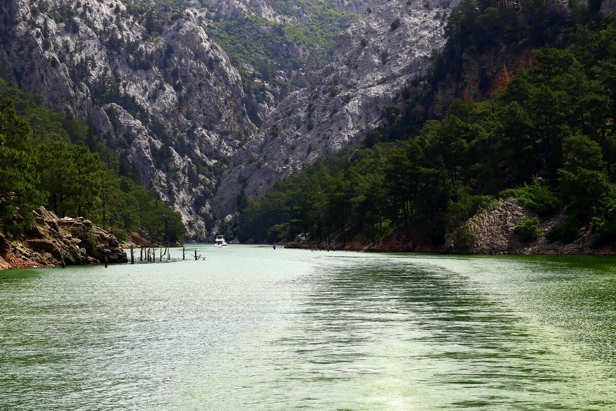 Прогулка по Зелёному каньону - Юрий. Шмаков