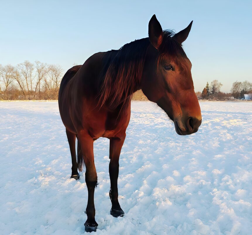 На пррогулке - Елена Сухорученкова