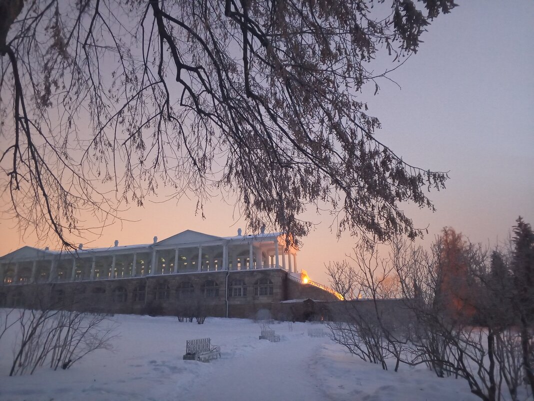 Утро - Сапсан 