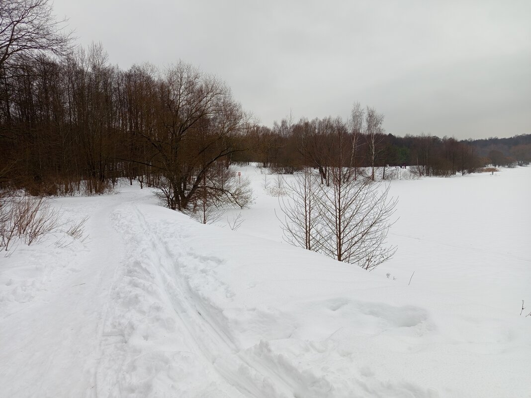 Первый день весны-2026 - продолжение ЧБ-сезона в фотографии - Андрей Лукьянов Первый день весны-2026 - продолжение ЧБ-сезона в фотографии - Андрей Лукьянов