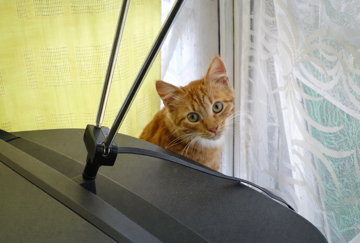 Ваш ТВ ремонту не подлежит - Валерий Судачок