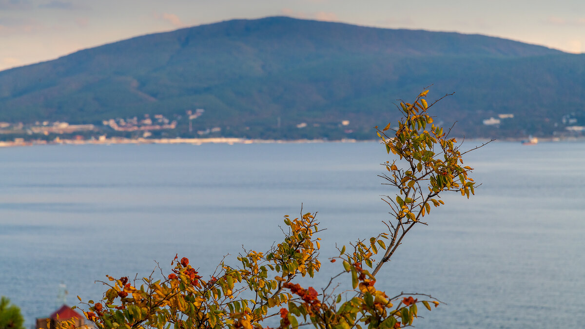 Черноморское побережье - Владимир Лазарев
