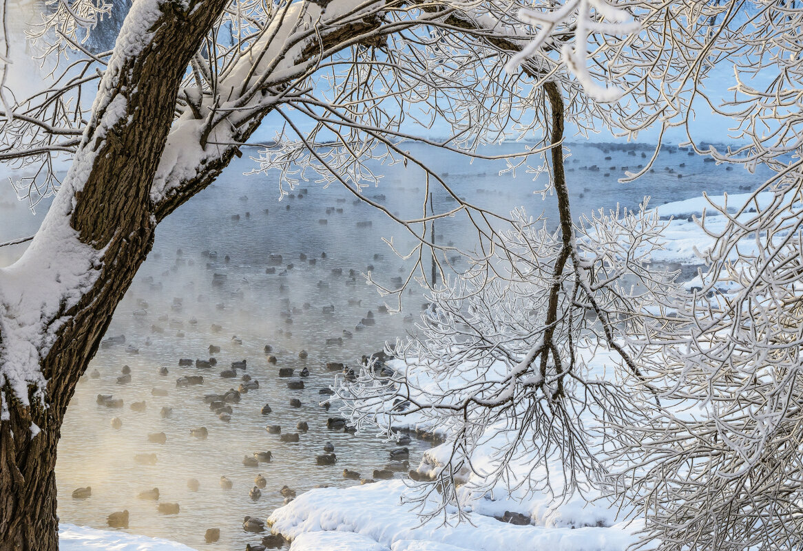В парке - Галина Новинская