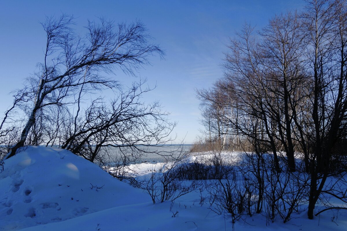 Побережье Балтийского моря - Рита Симонова Побережье Балтийского моря - Рита Симонова