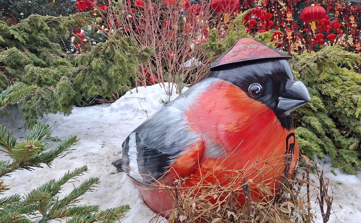 Даже снегиря нарядили. - ИРЭН@ . Даже снегиря нарядили. - ИРЭН@ .