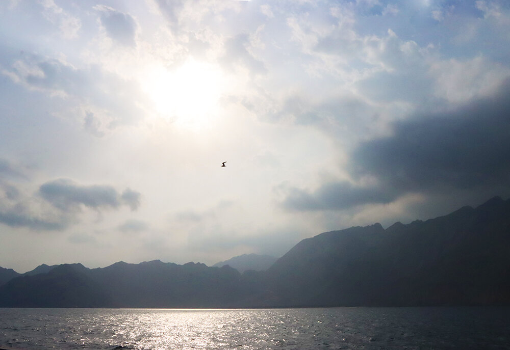 Берега Ормузского пролива - Галина Ильясова Берега Ормузского пролива - Галина Ильясова