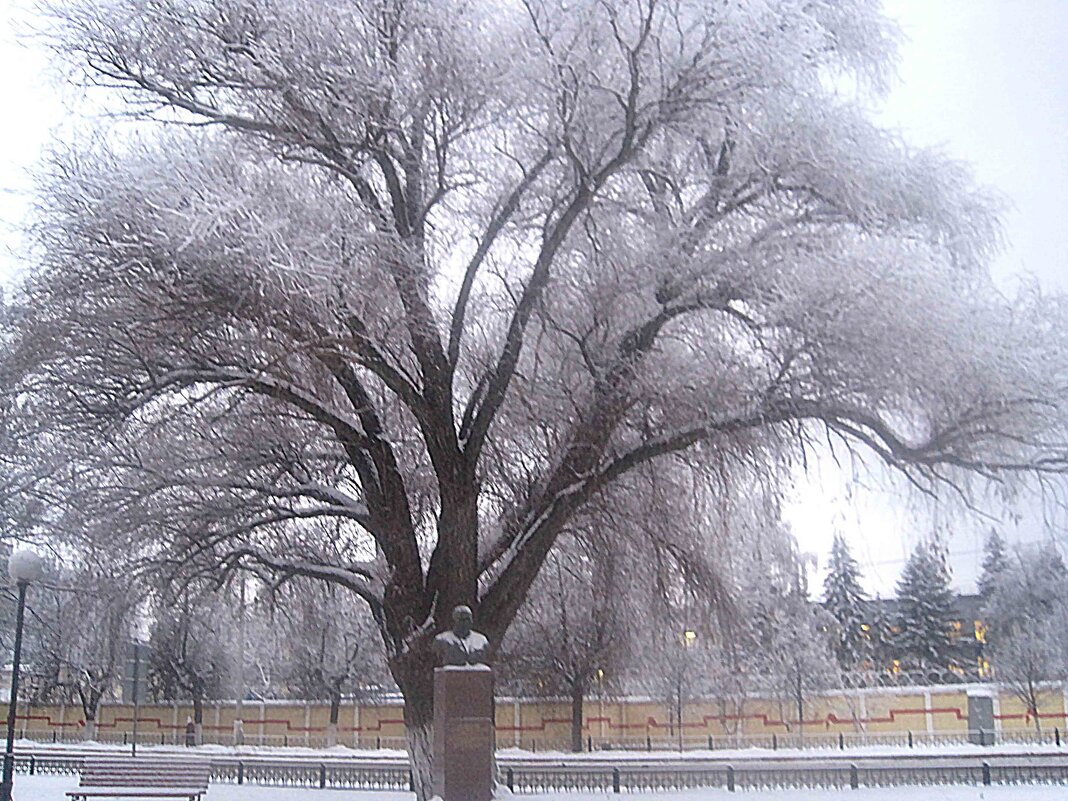 Мой город - Елена Семигина