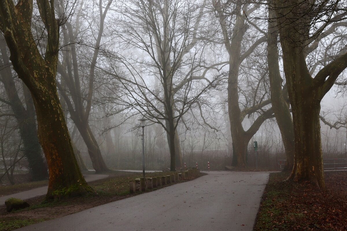 Дорожка в туманное утро - Юрий. Шмаков Дорожка в туманное утро - Юрий. Шмаков