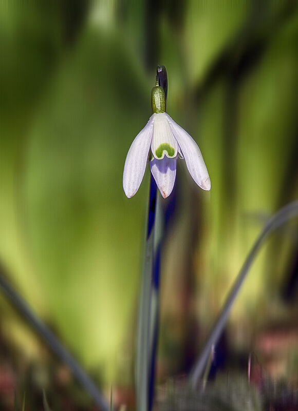 Одиночество - Андроник Александр Одиночество - Андроник Александр