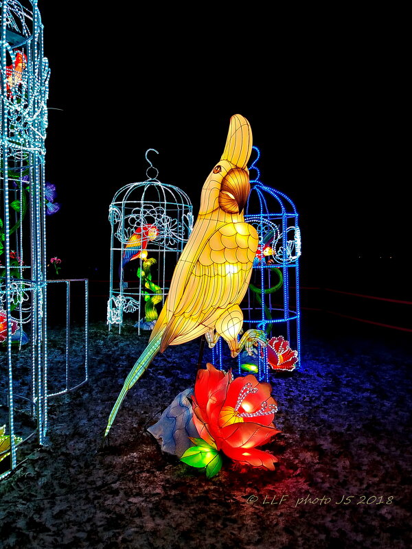 Сказочные животные - Liudmila LLF