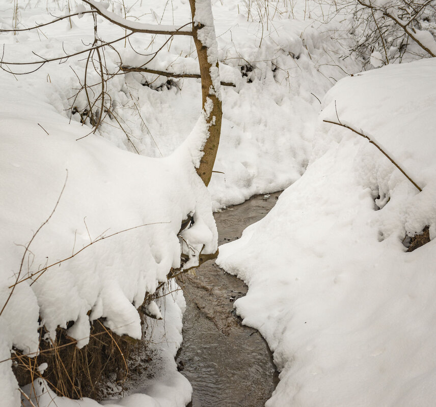 Этюд вокруг ручейка - Николай Галкин 
