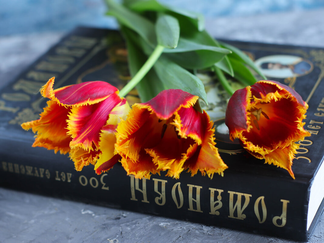 Весна - Irene Irene