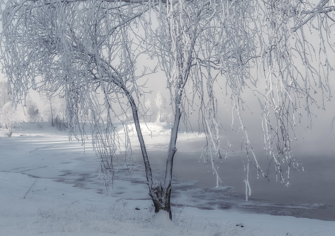 Занавес - Марина Фомина. Занавес - Марина Фомина.