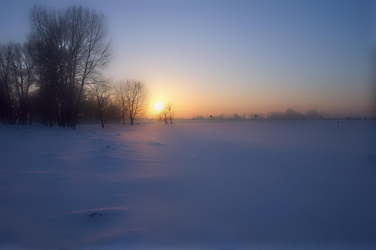 - - Aндрей Антонов