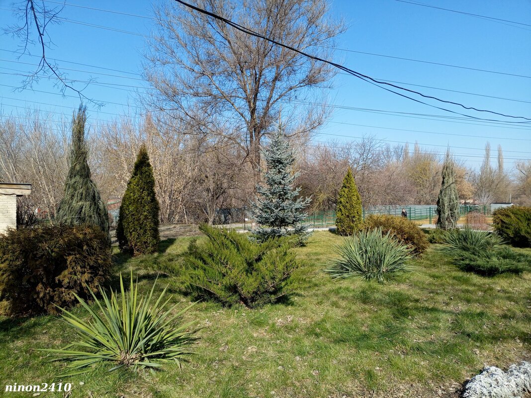 Март в ростовском зоопарке - Нина Бутко Март в ростовском зоопарке - Нина Бутко