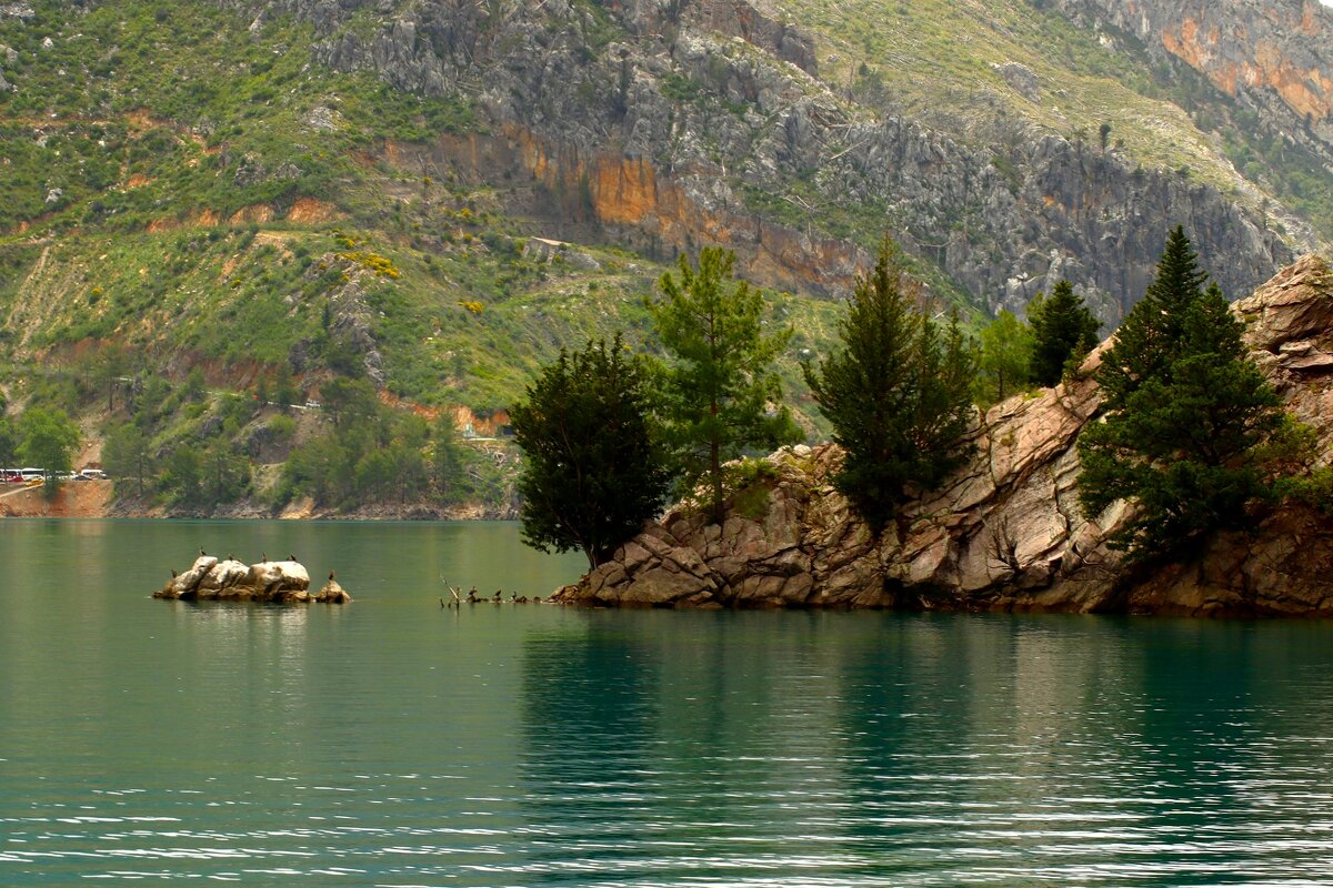 Берега - Юрий. Шмаков Берега - Юрий. Шмаков