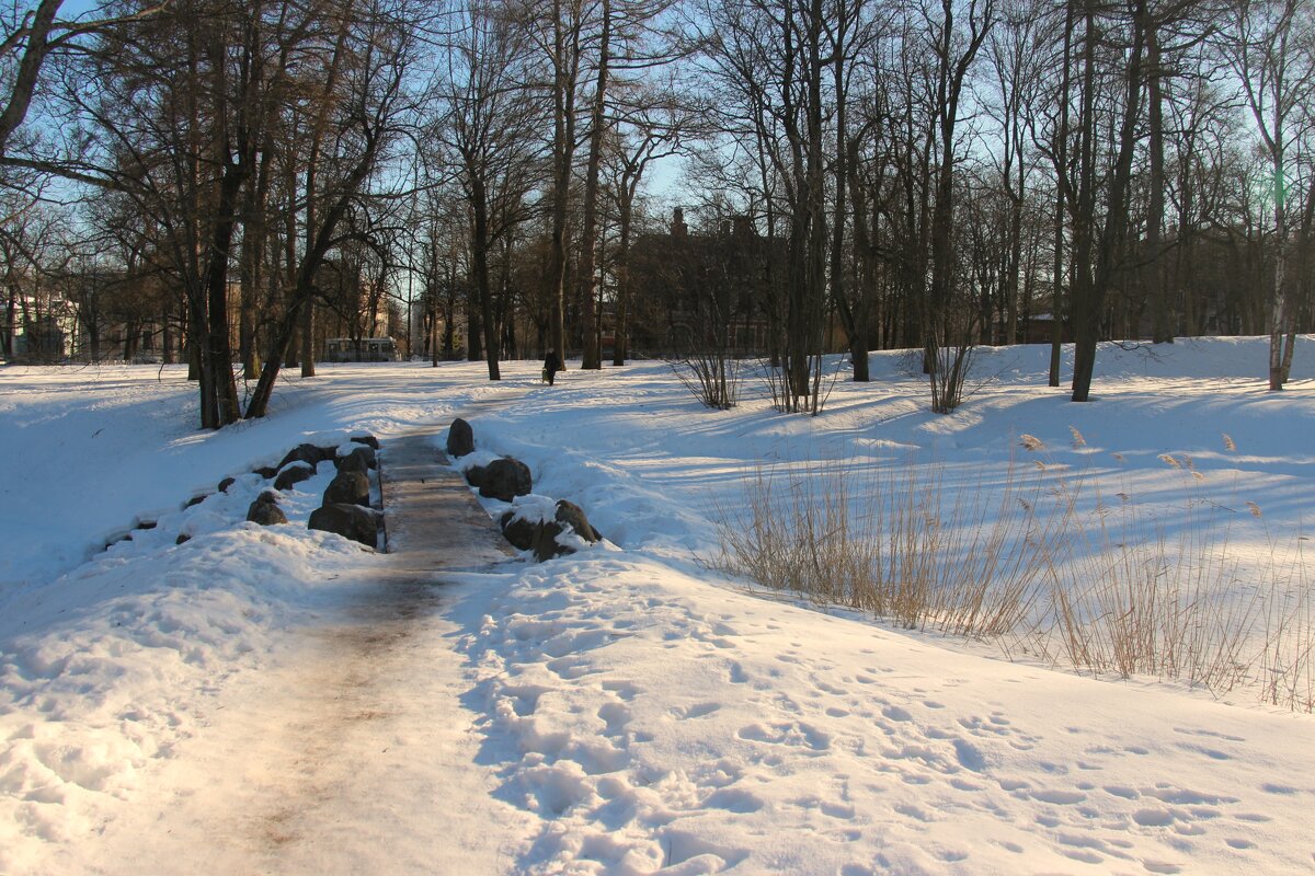 Первый день весны 2022 года - Наталья Герасимова