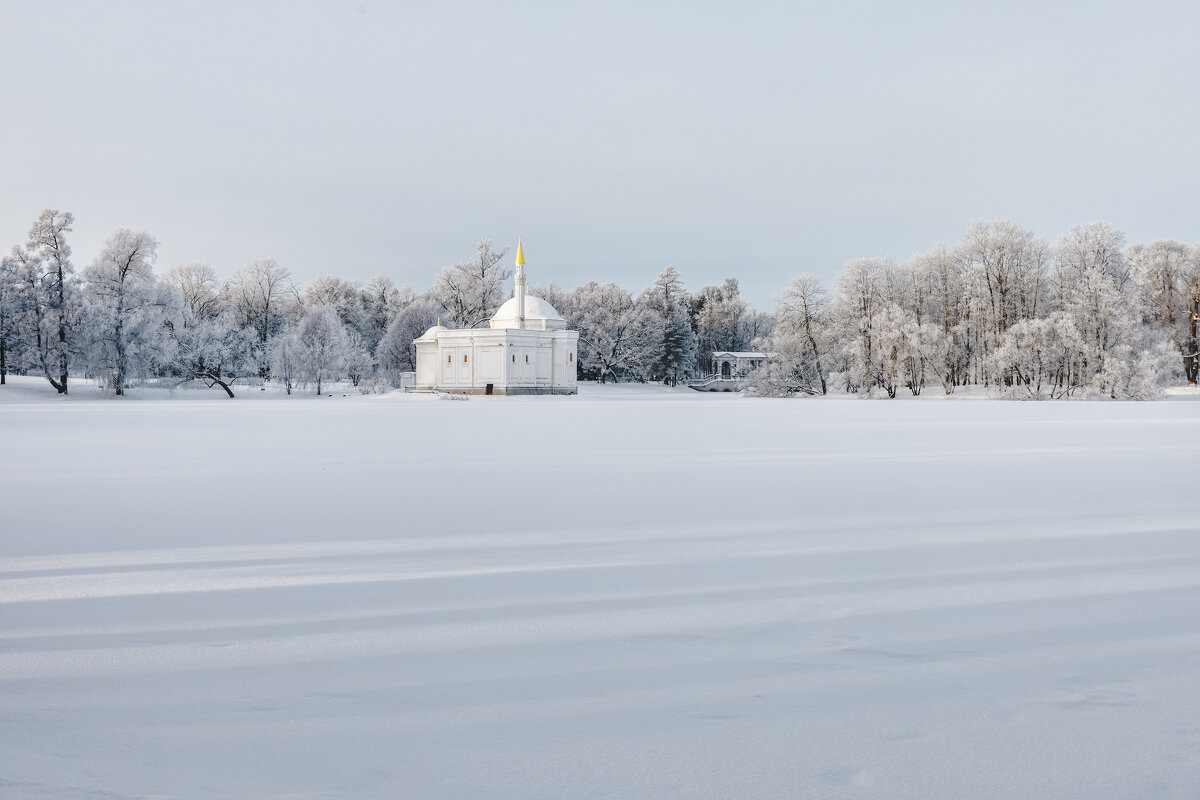 Про Питер - Владимир Колесников
