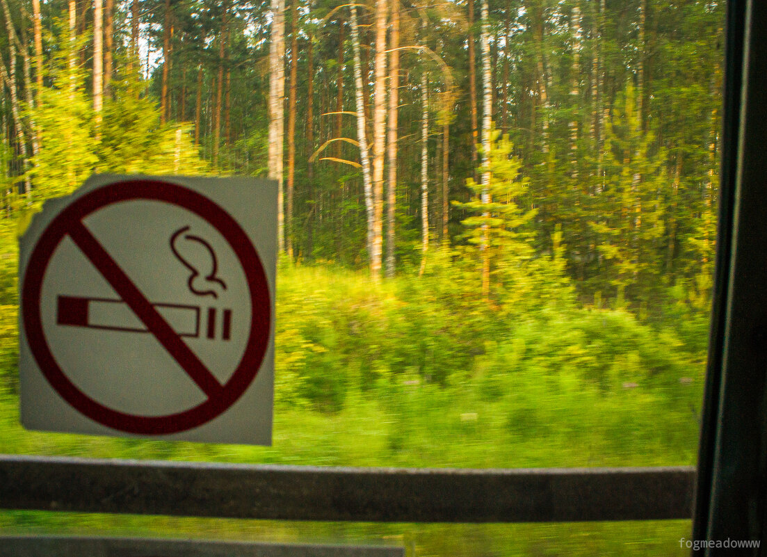 без названия - fogmeadowww m