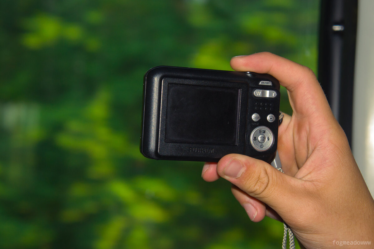 без названия - fogmeadowww m