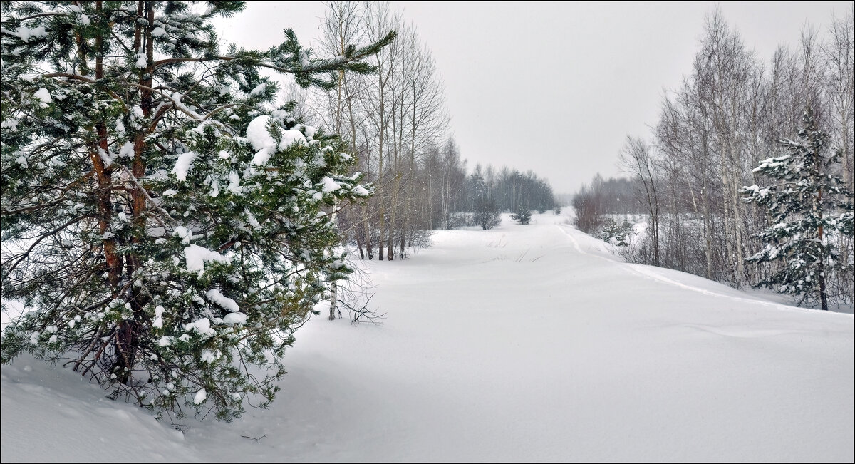 Зима - **** vedin