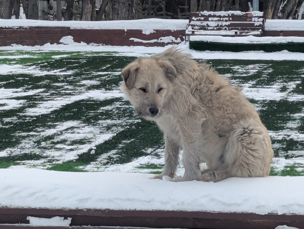 Одиночество - Андрей Хлопонин