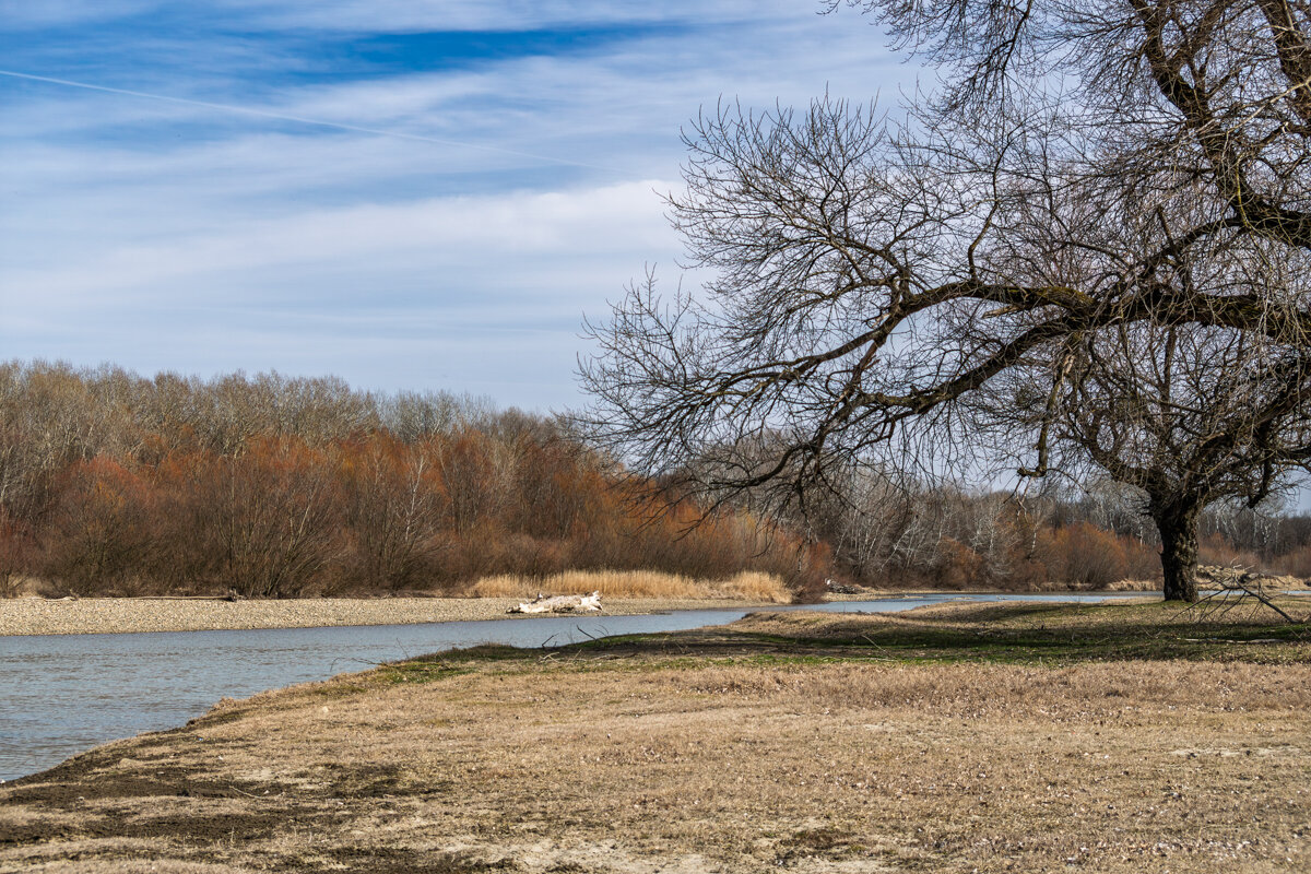 Реку Кубань в марте - Игорь Сикорский Реку Кубань в марте - Игорь Сикорский