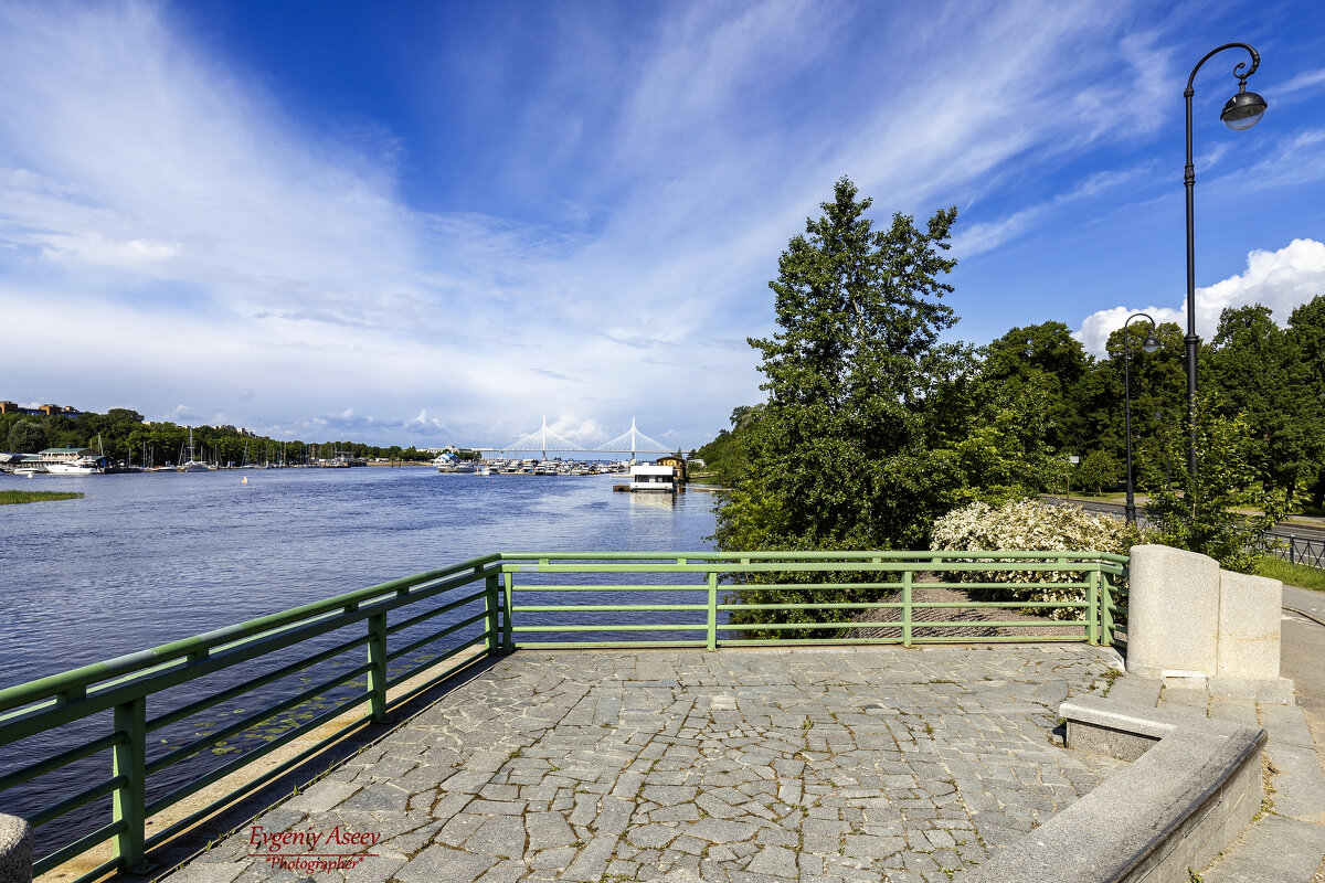 На Невских берегах - Евгений 