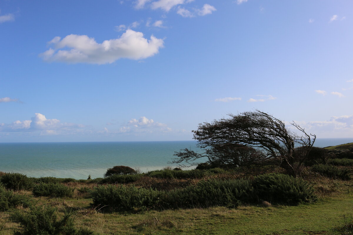 На берегу океана - Ольга На берегу океана - Ольга