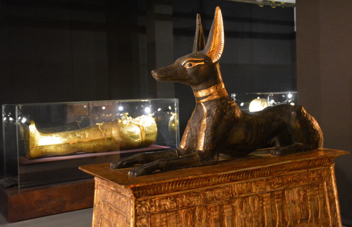 ... - Анастасия Смирнова