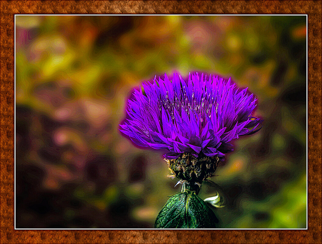 В гордом одиночестве - Владимир Кроливец В гордом одиночестве - Владимир Кроливец