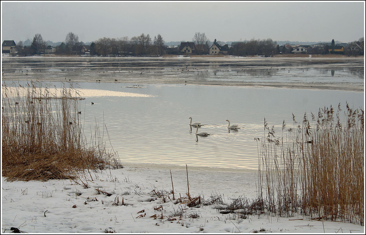 Перезимовали - Aleksandr Gal