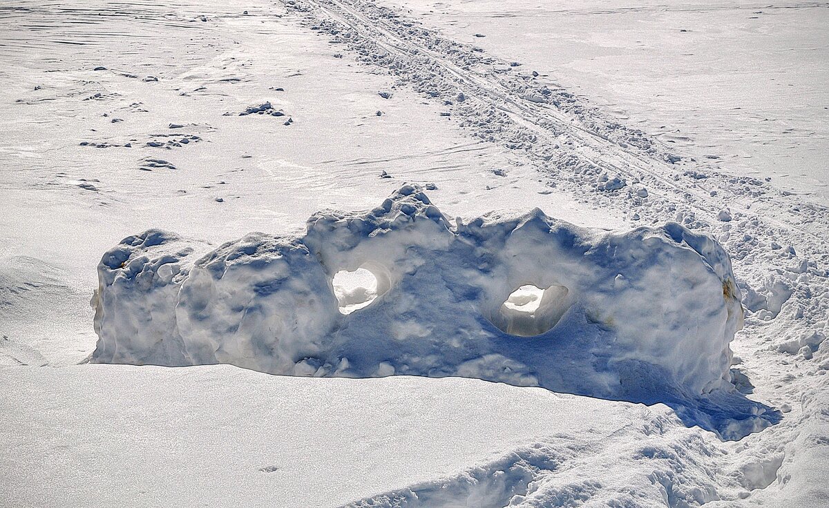 Куда глазели Глазенапы ? ,,,) - Анатолий Колосов