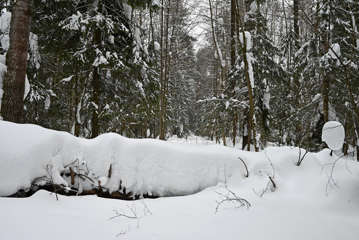 Поперёк грани. - ВикТор Быстров