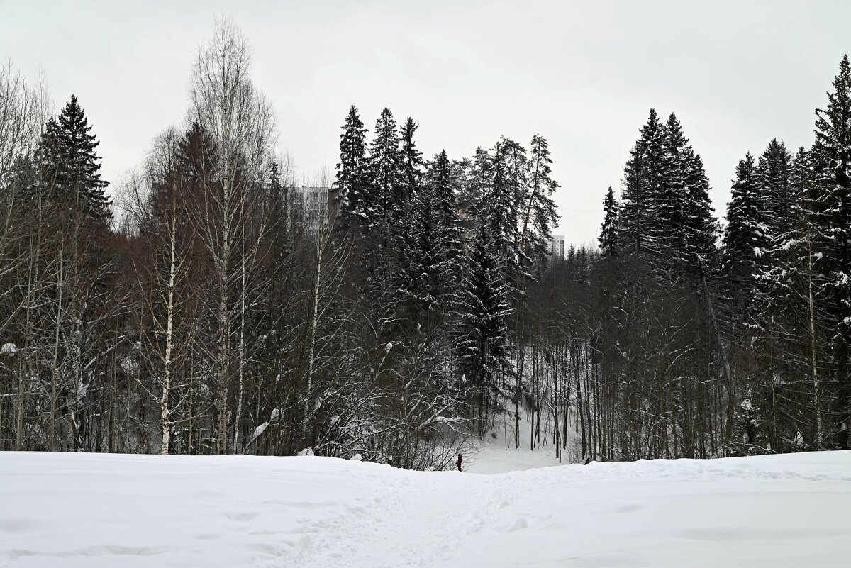 город наступает. - ВикТор Быстров
