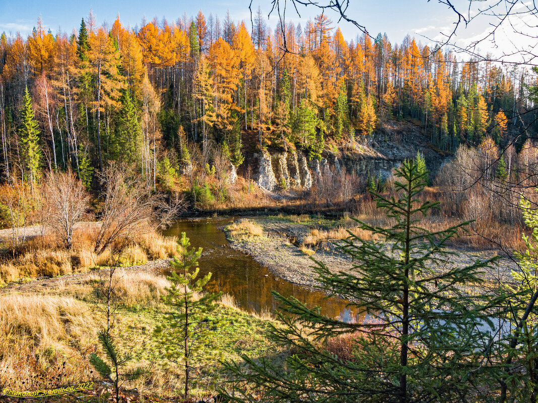 Октябрь на таёжной ручке Доманик. Пгт. Шудаяг, окрестности Ухты, Коми - Николай Зиновьев