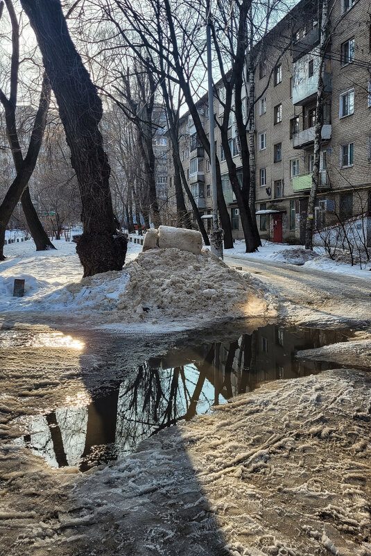 Начало весны - Татьяна Машошина