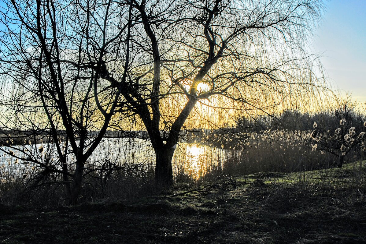 Весенний вечер. - Владимир Весенний вечер. - Владимир