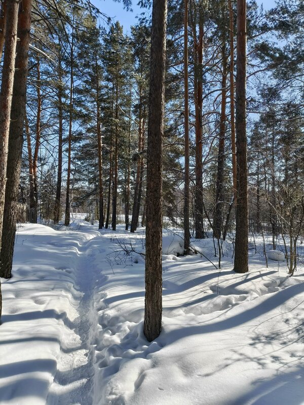 ЗИМА НЕ УХОДИТ2 - ura Зелев