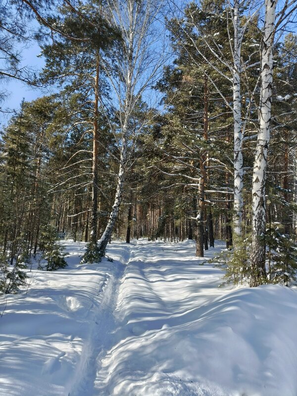 ЗИМА НЕ УХОДИТ5 - ura Зелев