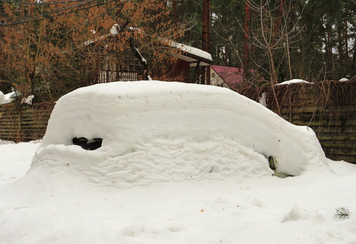 Появляется из - под снега - Андрей Снегерёв