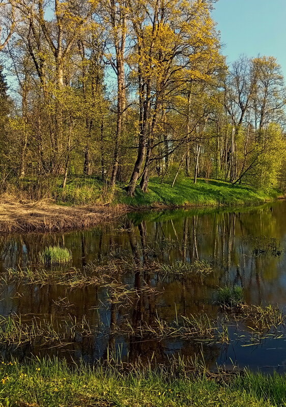 Майские фотозарисовки .. - Татьян@ Ивановна