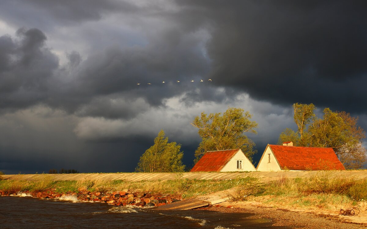 На побережье - В.И На побережье - В.И