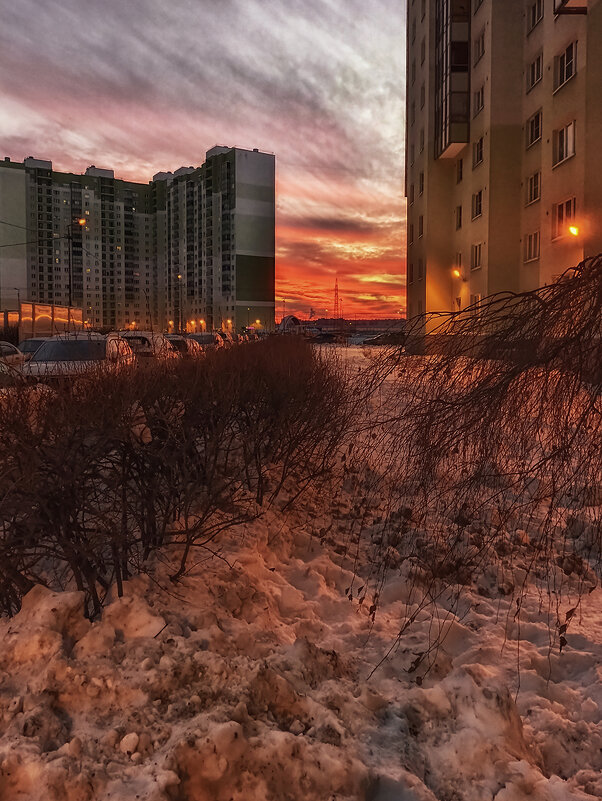 Закат на Новой Охте. - Лилия * Закат на Новой Охте. - Лилия *